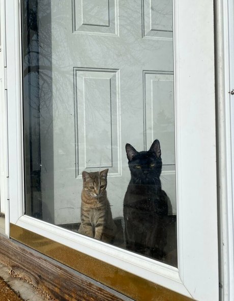 black lesbian onlyfans hot sex pics