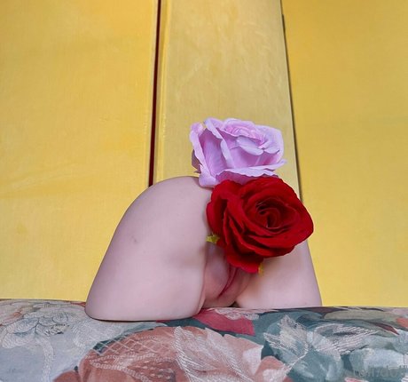 tall doll star free archive