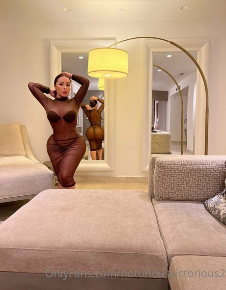 notoriousvictorious2 star art galleries