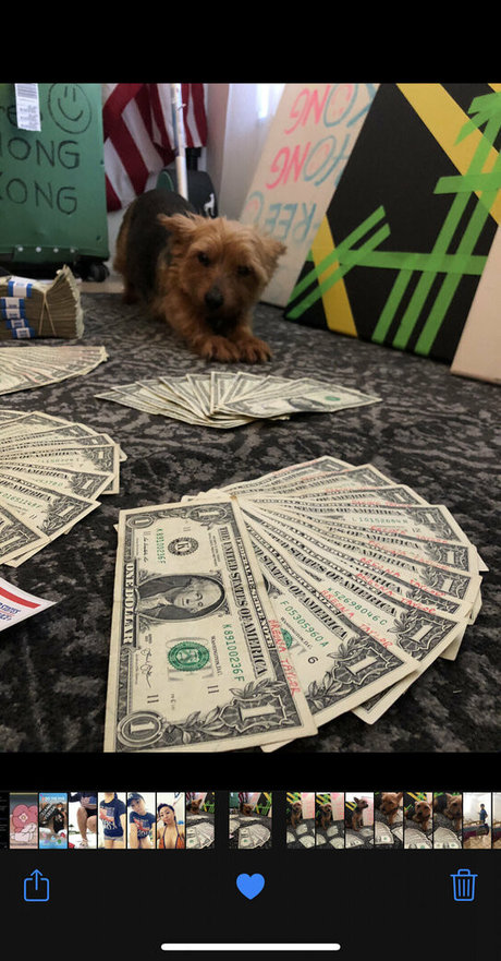 cindymoon7 erotic star img