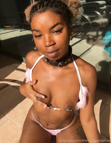 thenovapandafree nice pornstar photo