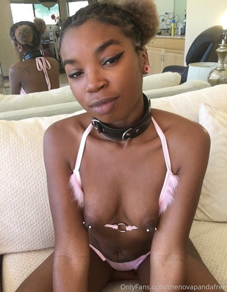 thenovapandafree star nice pictures