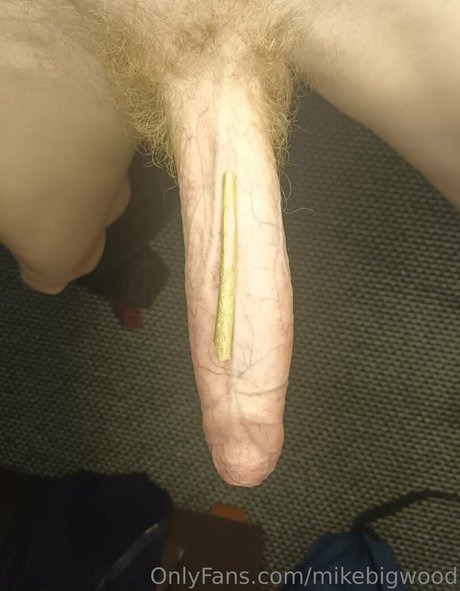 mikebigwood high quality actress images