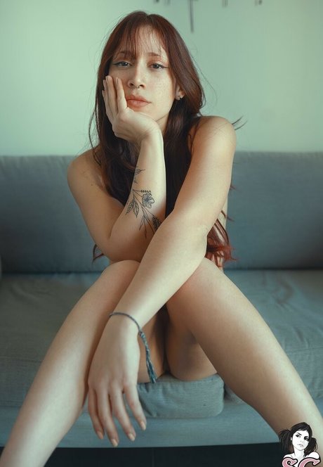 Kamikasered free pornstar photo