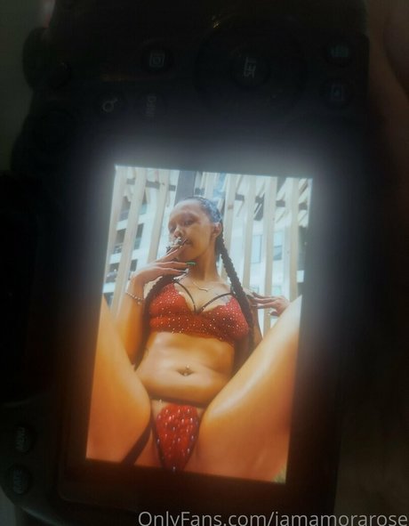 bbc pawg onlyfans sexy xxx image