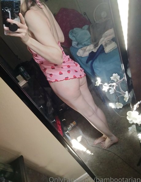 pandavision star perfect archive