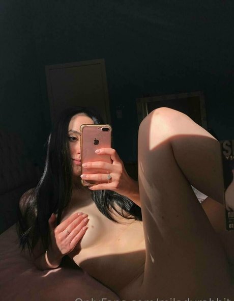 miladyrabbit star xxx archive