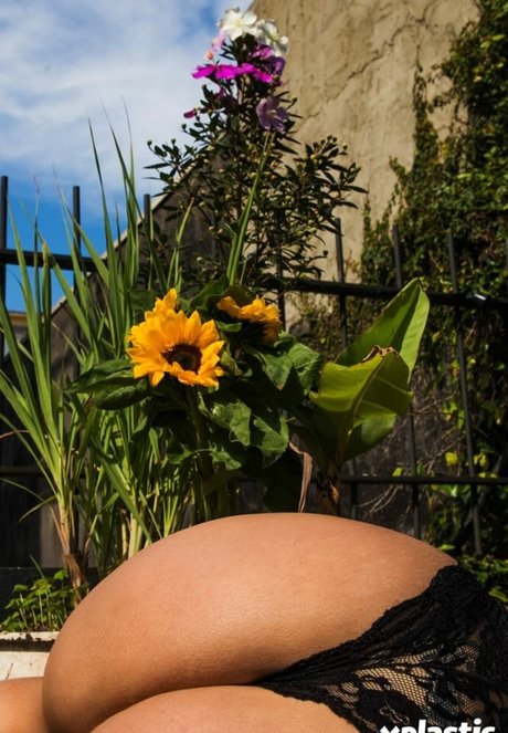 Debora Porto model erotic pic