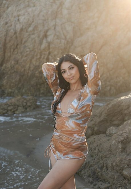 cerissa sustainable hd model archive