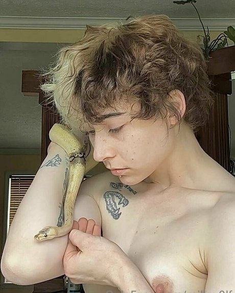 milkw0lf star art archive