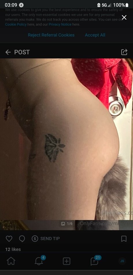 milkw0lf star perfect photos