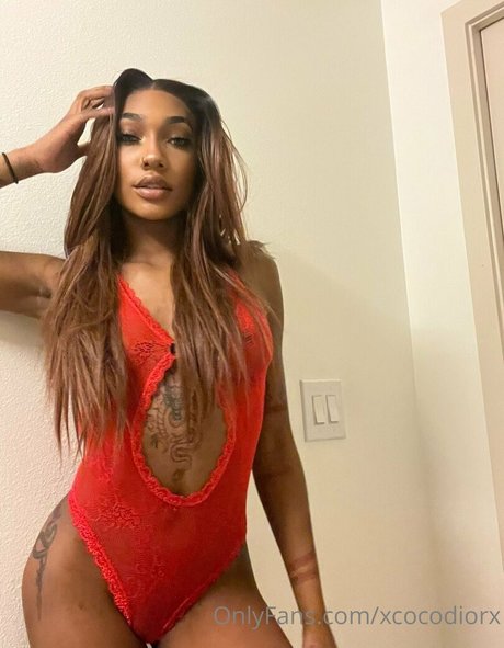xcocodiorx top pornstar img