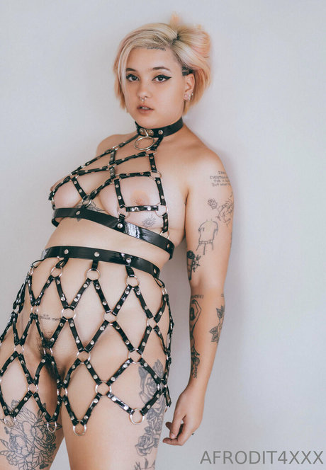 afrodit4x star beautiful gallery