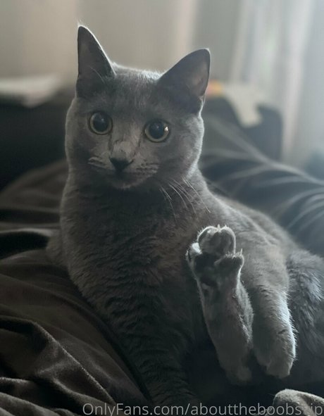 naked trans onlyfans free naked photos