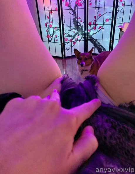 AnyaVixx star pretty photo