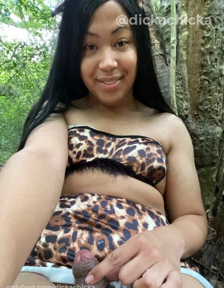 dickachicka top model archive