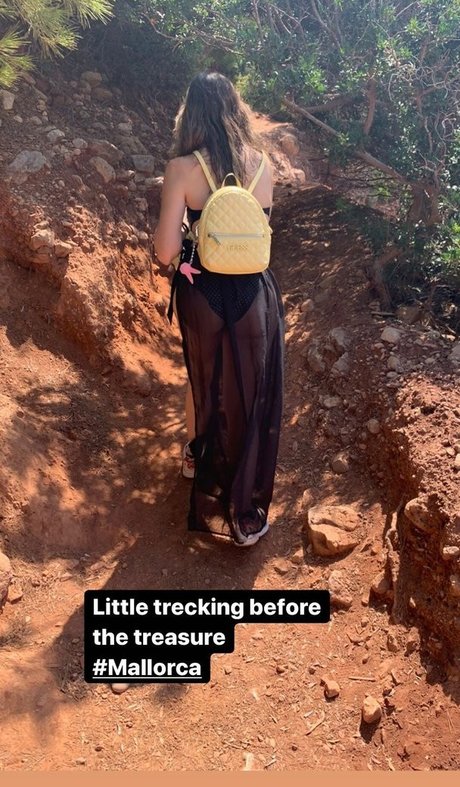 Pettans star top pics