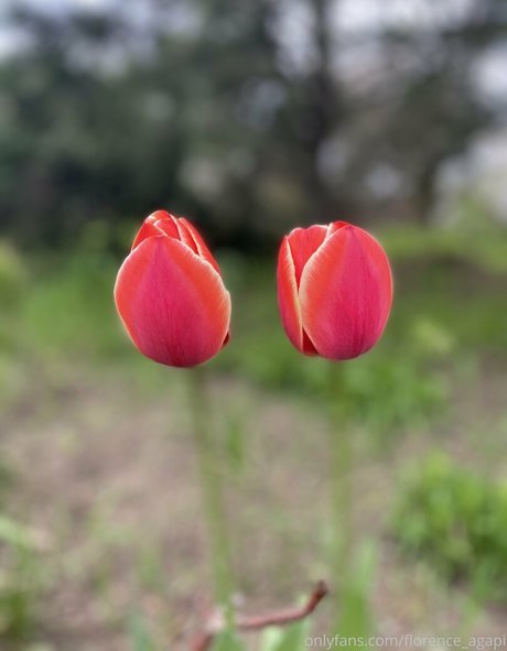 florence agapi pornstar top pic