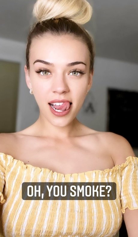 Koala Puffs high quality model photo