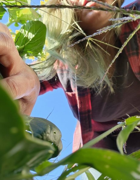 asian cuckold onlyfans nudes photos