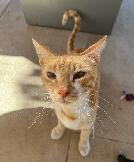 blonde onlyfans beautiful naked pic