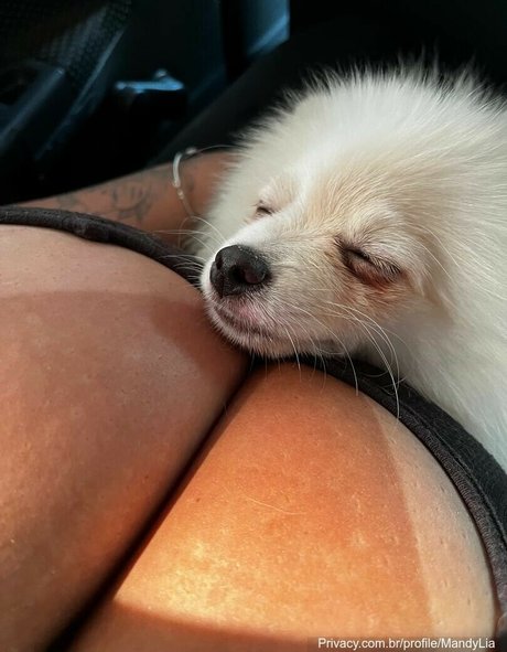 MandyLia pornstar nude gallery