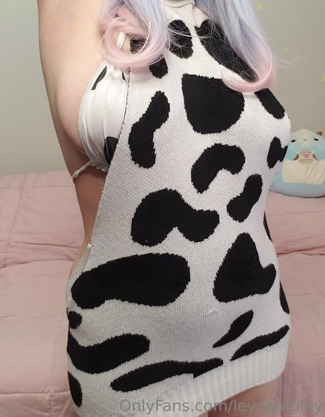 Leycantplay best model img