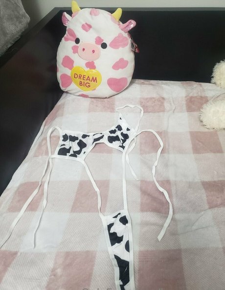 Leycantplay beautiful star images