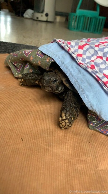 squirting pussy onlyfans nude pics