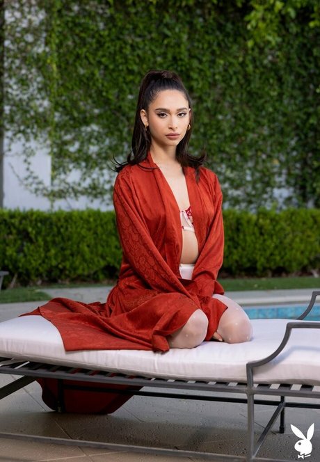 Arielle Love pornstar adult galleries