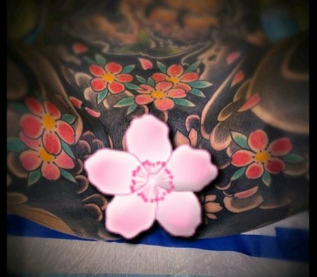 prismofdeath pornographic star gallery