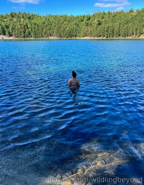 wildlingbeyond pornstar high quality archive