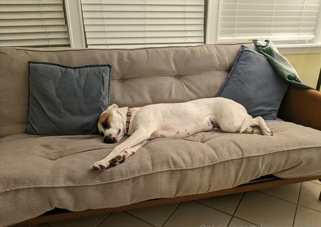 fridays child69 erotic star pic