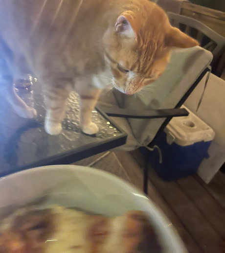 annacarter nyc sexy pornstar pics