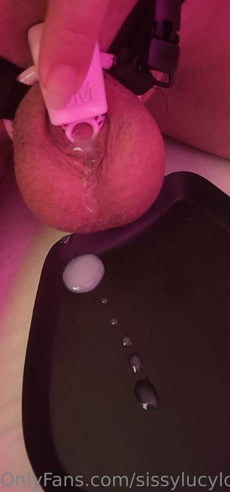 sissylucylove sexy pornstar gallery