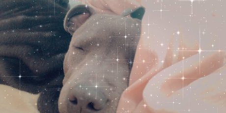 roxikeogh model sexy photo