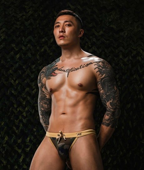 nvs video hd model image