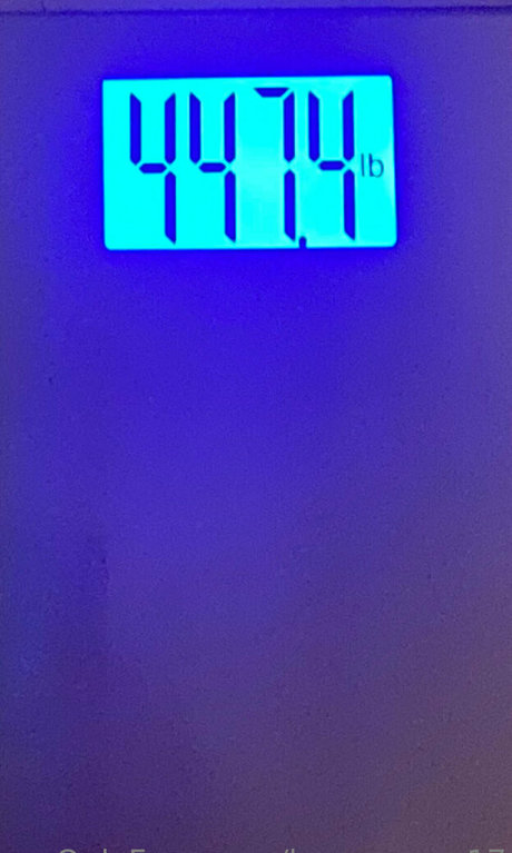 honeycow 17 pornstar pretty photos