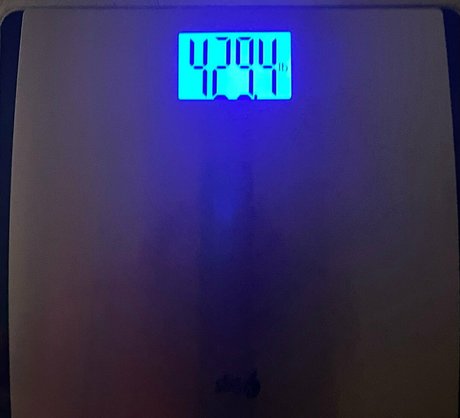 honeycow 17 porn model img