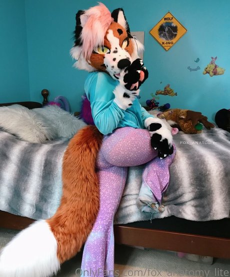 fox anatomy lite hd star pictures