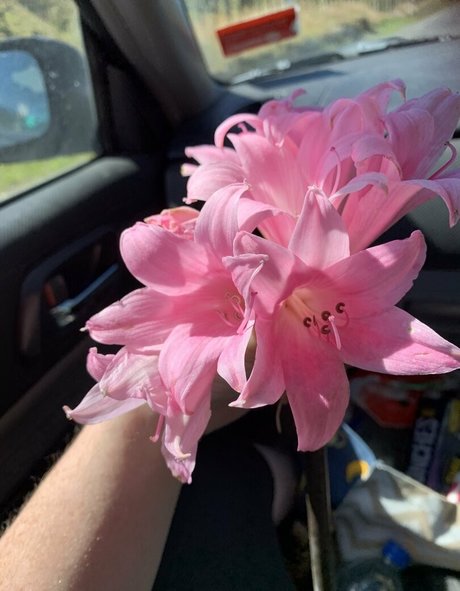 dirtymisstresspaige model pretty galleries