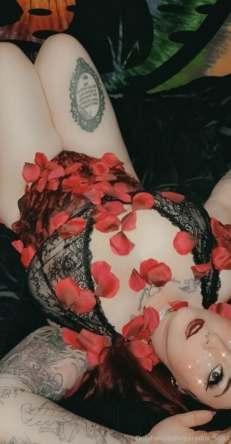 paradox 5683 Quick photo