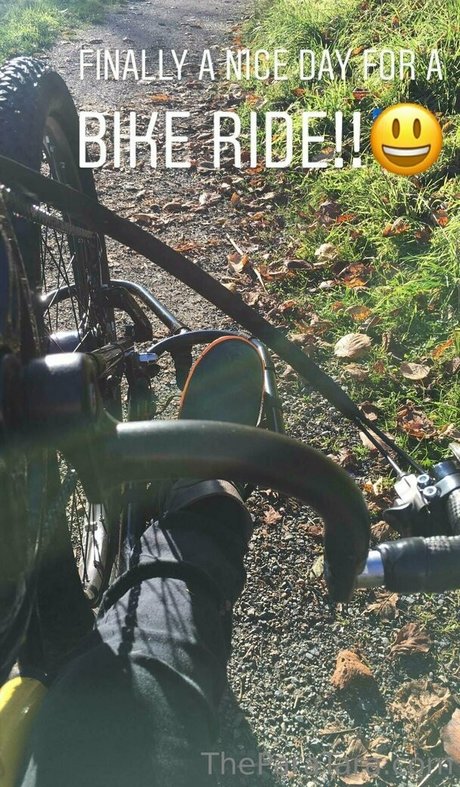 theparatara art star archive