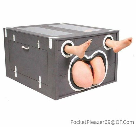 pocketpleazer free pornstar photos