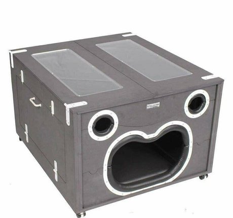 pocketpleazer exclusive actress galleries