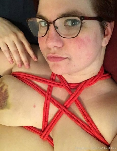 taylorpayn Profile photo