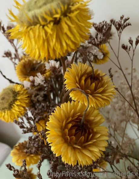 bodybuilder nude onlyfans free images