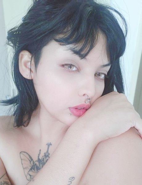 Lollygun top model picture