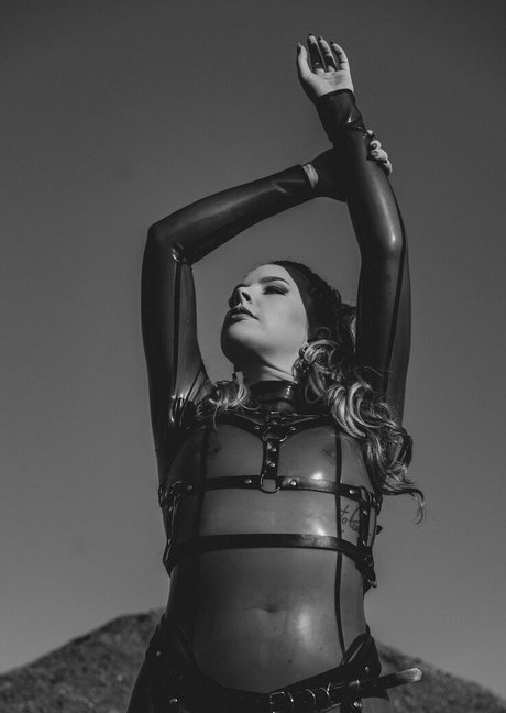 latex fox star perfect pic