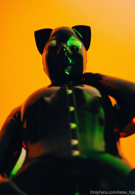 latex fox star high quality img